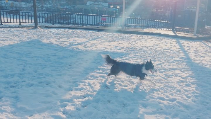 [Video] seung_kyoya Instagram Update [2018.02.02]