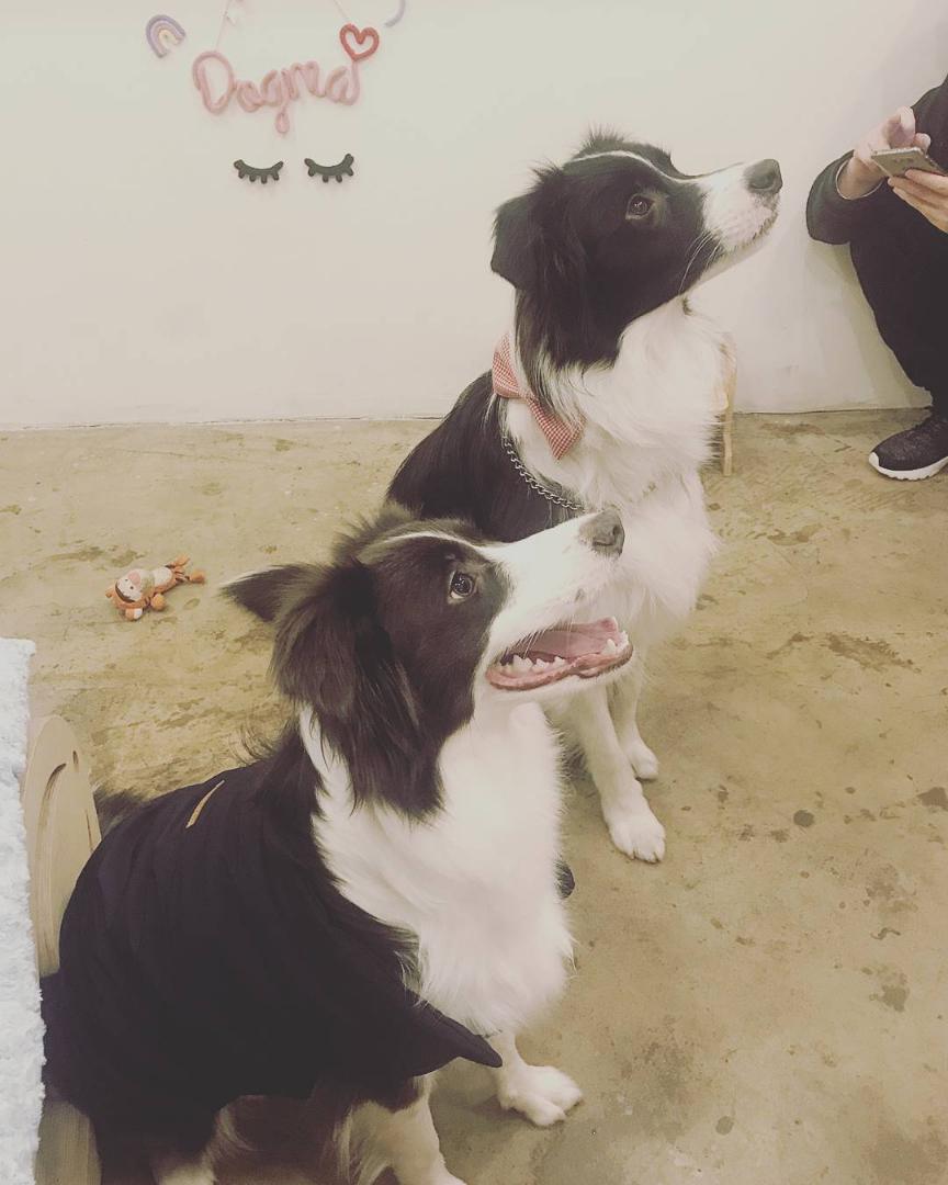 (seung_kyoya Instag 18.02.04 (2