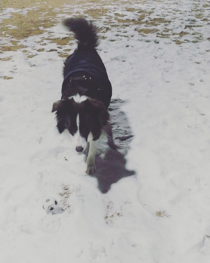 [Video] seung_kyoya Instagram Update [2018.02.08]