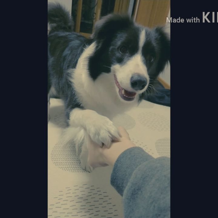 [Video] seung_kyoya Instagram Update [2018.02.22]