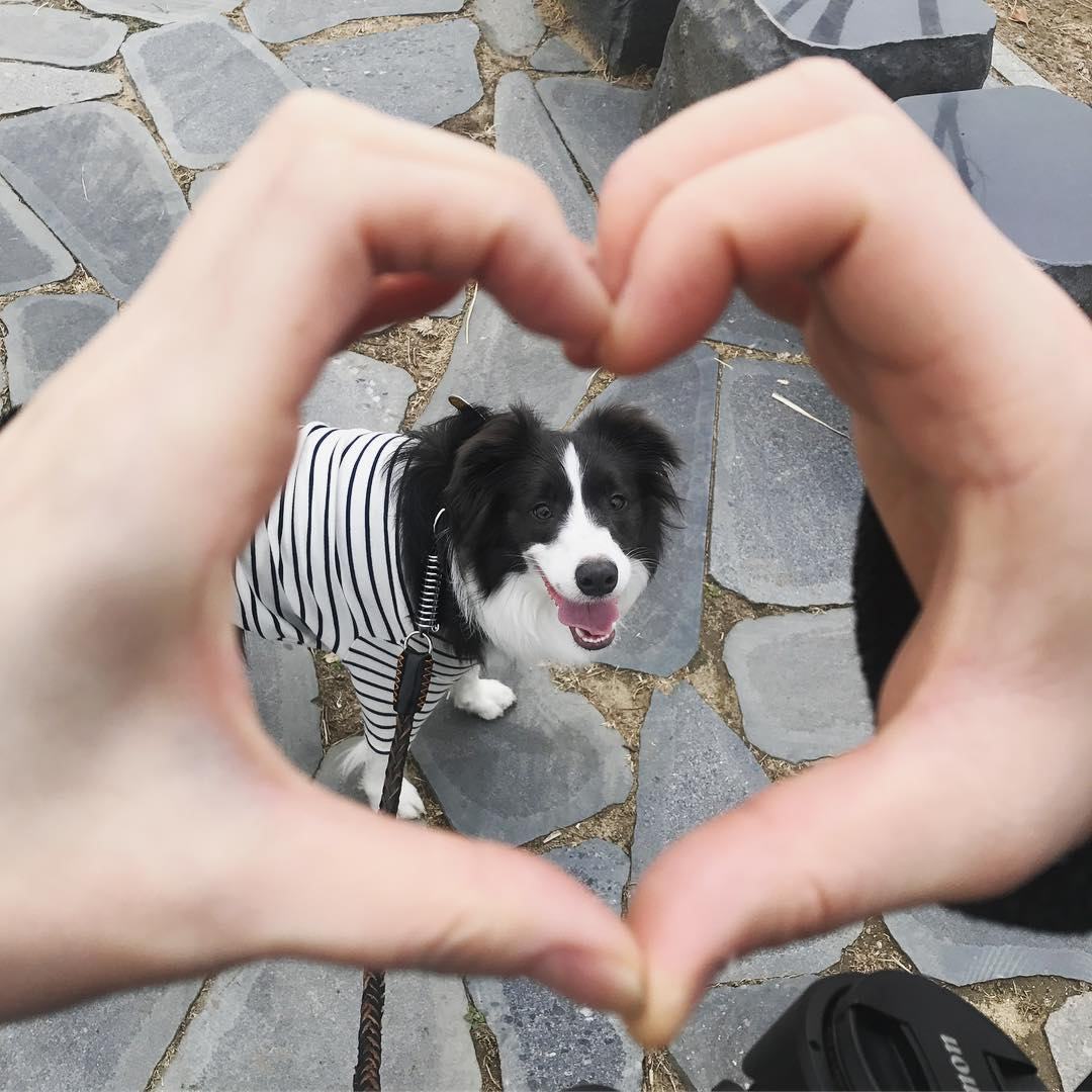[Photo+Video] ha_yeona Instagram Update [2018.03.18]