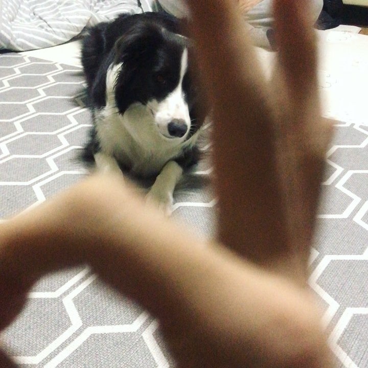 [Video] mitsui.on.fire Instagram Update [2018.03.06]