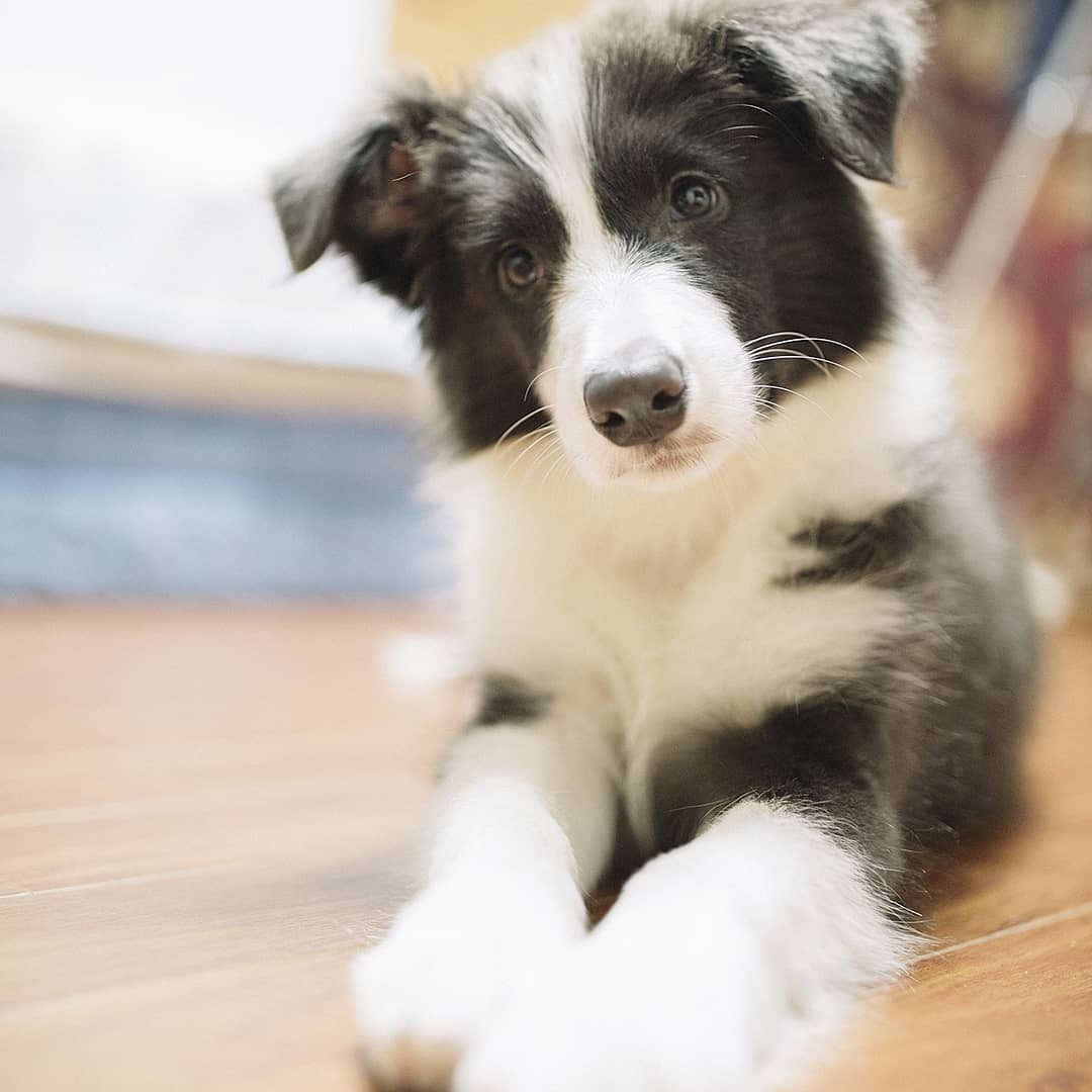 (seung_kyoya Instag 18.06.23 (2