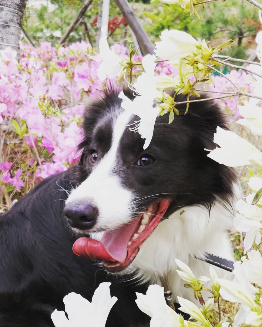 (seung_kyoya Instag 18.05.03 (1