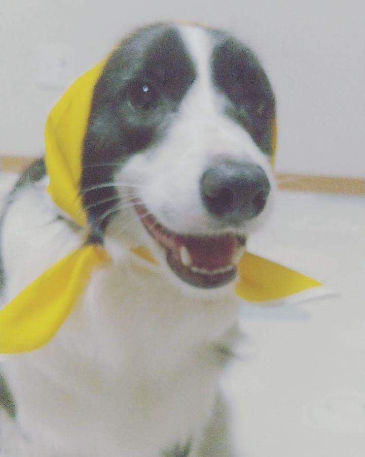 [Video] seung_kyoya Instagram update [2018.05.21]